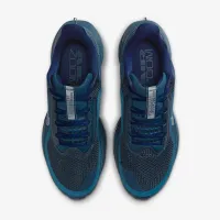 Nike Pegasus Premium жіноча Road Running Кросівки блакитний
