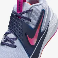 Nike Team Hustle D 12 Big детские баскетбольные Кроссовки цвет серый