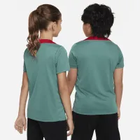 Liverpool FC Strike Big детские Nike Dri-FIT Soccer Short-Sleeve Knit Top цвет зеленый