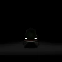 FAMU Pegasus 41 мужские Nike College Road Running Кроссовки цвет зеленый