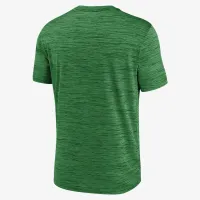 Oregon Ducks Campus Center Block Velocity мужские Nike Dri-FIT College футболка цвет зеленый