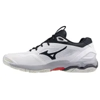 Кроссовки для зала Mizuno WAVE STEALTH 6 (X1GA243021)