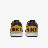 Nike Terminator Low мужские Кроссовки Yellow