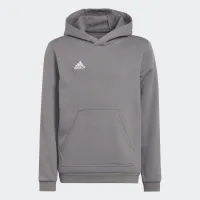 Кофта/футболка adidas Entrada 22 H57515 - Серая