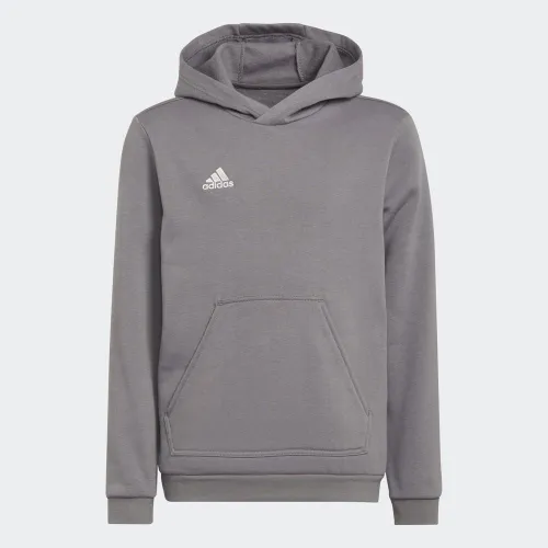 Кофта/футболка adidas Entrada 22 H57515 - Серая
