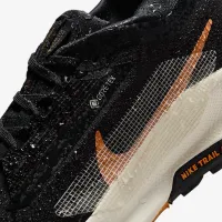 Nike Pegasus Trail 5 GORE-TEX женская Waterproof Trail Running Кроссовки цвет черный