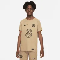 Chelsea FC 2022/23 Stadium Third Big детские Nike Dri-FIT Soccer Jersey цвет коричневый
