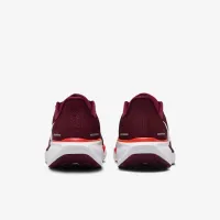 Virginia Tech Pegasus 41 мужские Nike College Road Running Кроссовки цвет красный