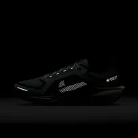 Nike Pegasus 41 GORE-TEX чоловічі Waterproof Road Running Кросівки колір сірий