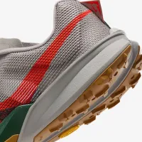 Nike Kiger 10 мужские Trail Running Кроссовки цвет серый