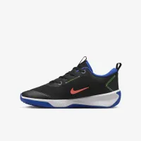 Nike Omni Multi-Court Big дитячі Indoor Court Кросівки колір чорний