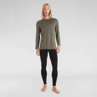 Футболка Icebreaker Merino 260 Tech Long Sleeve Crewe Thermal Top 1043710691 - зеленая