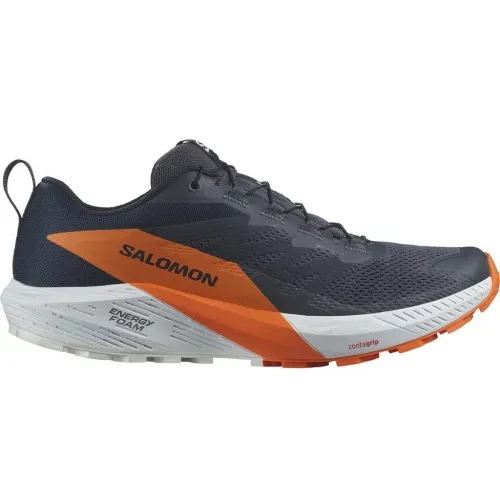 Кросівки для бігу Чоловічі Salomon SENSE RIDE 5 GTX Gore-Tex (474594)