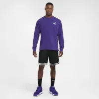 Nike чоловічі Max90 Long-Sleeve баскетбольні футболка колір фіолетовий