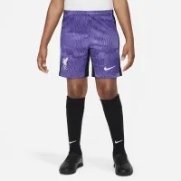 Liverpool FC 2023/24 Stadium Third Big детские Nike Dri-FIT Soccer шорты цвет фиолетовый