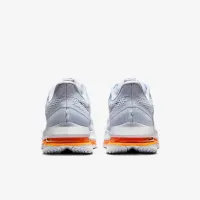 Nike Pegasus Premium мужские Road Running Кроссовки цвет серый