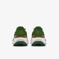 FAMU Pegasus 41 мужские Nike College Road Running Кроссовки цвет зеленый