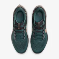 Nike Air Zoom Pegasus 41 SP чоловічі Кросівки колір сірий