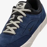 Nike SB Malor чоловічі Кросівки блакитний