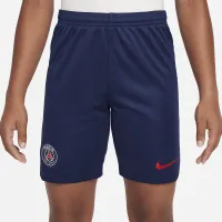 Paris Saint-Germain 2023/24 Stadium Home/Away Big дитячі Nike Dri-FIT Soccer шорти блакитний