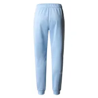 Штаны The North Face Joggers Reaxion 0A7ZABQEO1 - Голубые