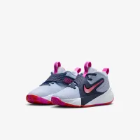 Nike Team Hustle D 12 Little дитячі Кросівки колір сірий
