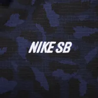 Nike SB Allover Print Skate Chore Coat блакитний