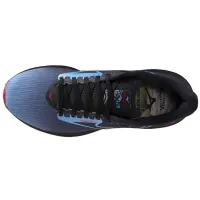 Чоловічі Кросівки для бігу MIZUNO WAVE RIDER 29 AMSTERDAM (J1GC256201)