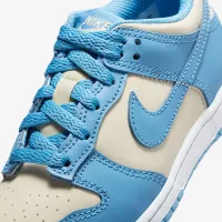 Nike Dunk Low Little дитячі Кросівки блакитний