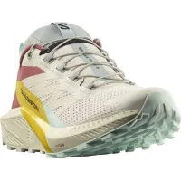 Кросівки для бігу Salomon SENSE RIDE 5 (472124)