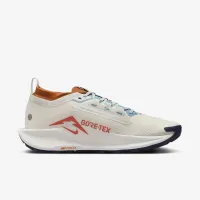 Nike Pegasus Trail 5 GORE-TEX чоловічі Waterproof Trail Running Кросівки колір сірий