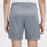 Nike Trophy23 Big детские Dri-FIT шорты цвет серый