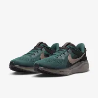 Nike Air Zoom Pegasus 41 SP чоловічі Кросівки колір сірий