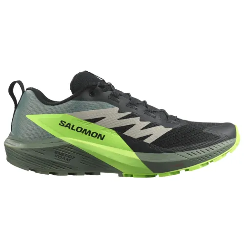 Кросівки для бігу Чоловічі Salomon SENSE RIDE 5 (473111)