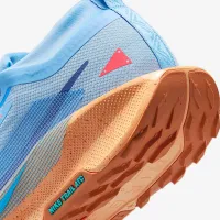 Nike Pegasus Trail 5 GORE-TEX чоловічі Waterproof Trail Running Кросівки блакитний