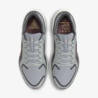 Nike Pegasus 41 GORE-TEX чоловічі Waterproof Road Running Кросівки колір сірий