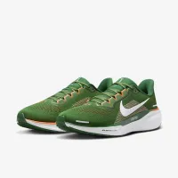 FAMU Pegasus 41 мужские Nike College Road Running Кроссовки цвет зеленый