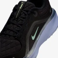 Nike Winflo 11 GORE-TEX чоловічі Waterproof Road Running Кросівки колір чорний