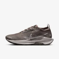 Nike Pegasus Trail 5 GORE-TEX мужские Waterproof Trail Running Кроссовки цвет коричневый