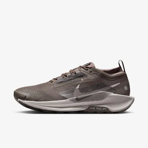 Nike Pegasus Trail 5 GORE-TEX мужские Waterproof Trail Running Кроссовки цвет коричневый