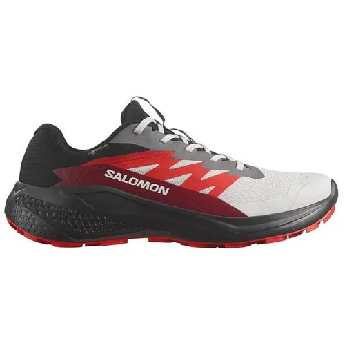 Кроссовки Мужские SALOMON ALPHAGLIDE GTX Gore-TEX (478022)