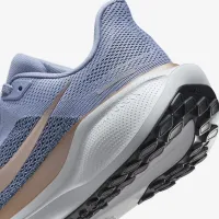 Nike Pegasus 41 женская Road Running Кроссовки (Extra Wide) синий