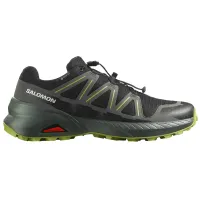 Кроссовки для бега w terenie SALOMON SPEEDCROSS PEAK GTX Gore-tex (477905)