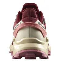 Кросівки для бігу w terenie SALOMON SUPERCROSS 4 GTX Gore-TEX (473168)