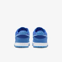 Nike Dunk Low SE Big дитячі Кросівки блакитний