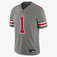 Ohio State Buckeyes мужские Nike Dri-FIT College Game Jersey цвет серый