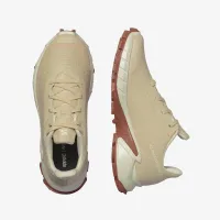 Кросівки Salomon Alphacross 5 L47460200 - Бежевий