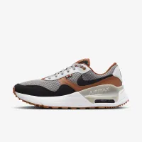 Nike College Air Max SYSTM (Texas) мужские Кроссовки цвет серый