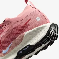 Nike Pegasus Trail 5 GORE-TEX жіноча Waterproof Trail Running Кросівки Pink