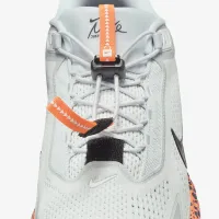 Nike Pegasus EasyOn Electric мужские Road Running Кроссовки многоцветный